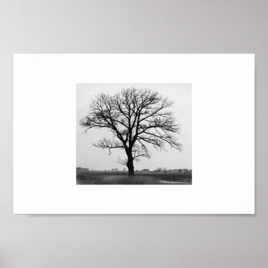 Poster Arbre de la mort (Devant)