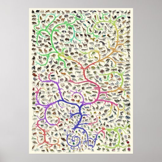 Poster Arbre de la vie Théorie darwinienne de l'év (Devant)