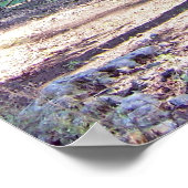 Poster Arbre de l'affiche Sagdom (Coin)