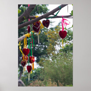 Poster Arbre de l'amour, Zhonghe - Yunnan, Chine