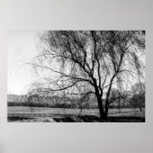 Poster Arbre de Leiper (Devant)