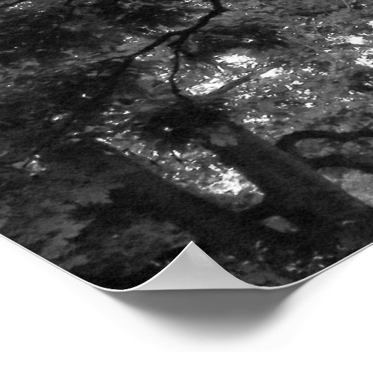 Poster Arbre de Magnolia en été (Coin)