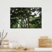 Poster Arbre de Magnolia en été (Cuisine)