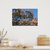 Poster Arbre de Magnolia en fleurs (Cuisine)