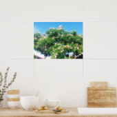 Poster Arbre de Mimosa (Cuisine)