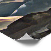 POSTER ARBRE DE MONTAGNE (Coin)