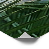 Poster Arbre de Mossy dans le brouillard (Coin)