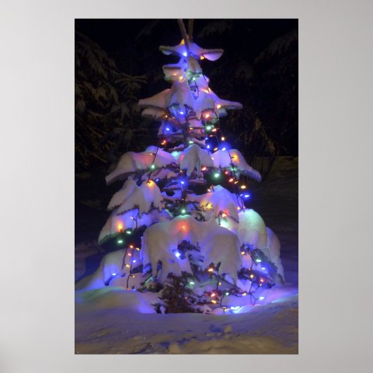 Poster Arbre de Noël couvert de neige brillante (Devant)