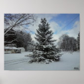 Poster Arbre de Noël non coupé (Devant)