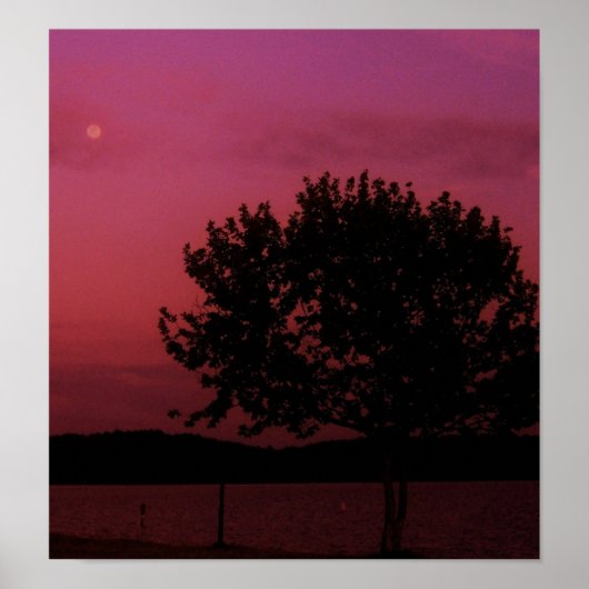 Poster Arbre de passion (Devant)