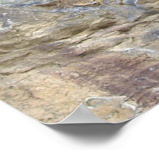 Poster Arbre de persévérance (Coin)