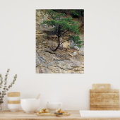 Poster Arbre de persévérance (Cuisine)