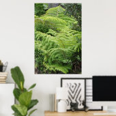 Poster Arbre de Ponga de la Ferme de Nouvelle-Zélande (Bureau à domicile)