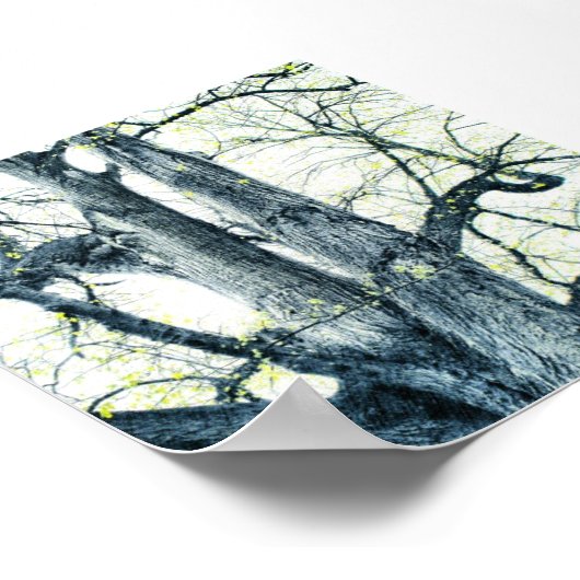 Poster Arbre de printemps (Coin)
