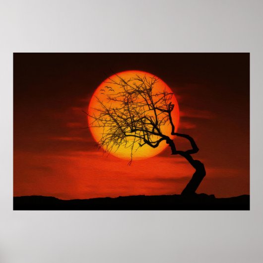 Poster Arbre de soleil (Devant)