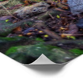 Poster Arbre De Vie (Coin)