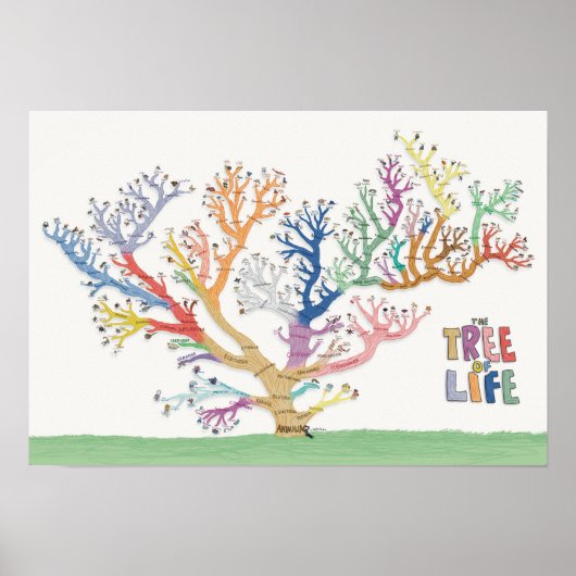 Poster Arbre de vie (19x13) (Devant)