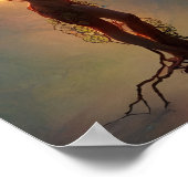 POSTER ARBRE DE VIE 4 (Coin)