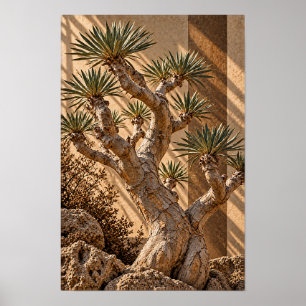 Poster Arbre de yucca sculptural dans l'art mural de lumi