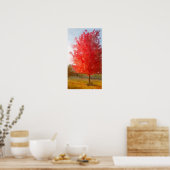 Poster Arbre d'érable d'automne en couleur, aquarelle (Cuisine)