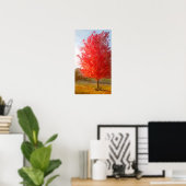 Poster Arbre d'érable d'automne en couleur, aquarelle (Bureau à domicile)