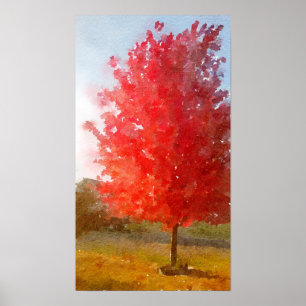 Poster Arbre d'érable de chute dans polychrome, aquarelle