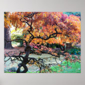 Poster Arbre d'érable japonais d'automne (Devant)