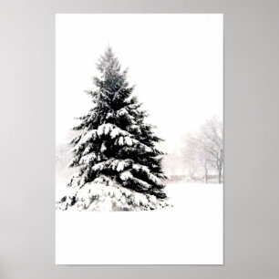 Poster Arbre d'hiver