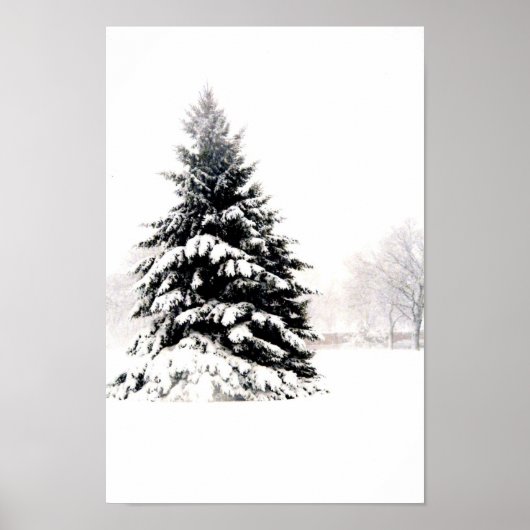 Poster Arbre d'hiver (Devant)