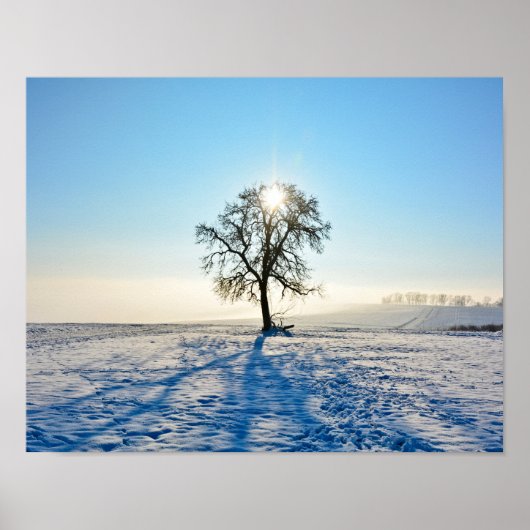 Poster Arbre d'hiver - - (Devant)