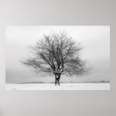 Poster arbre d'hiver (Devant)