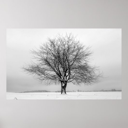 Poster arbre d'hiver (Devant)