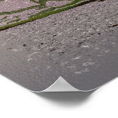 POSTER ARBRE D'HIVER (Coin)