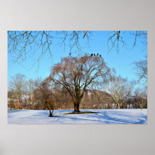 Poster Arbre d'hiver avec oiseaux