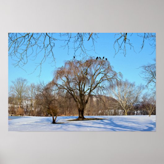 Poster Arbre d'hiver avec oiseaux (Devant)