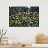 Poster Arbre d'Iguana (Cuisine)