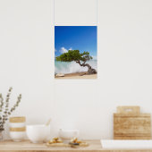 Poster Arbre Divi Divi, Eagle Beach, Aruba, Caraïbes (Cuisine)