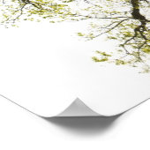 Poster Arbre éclairé (Coin)