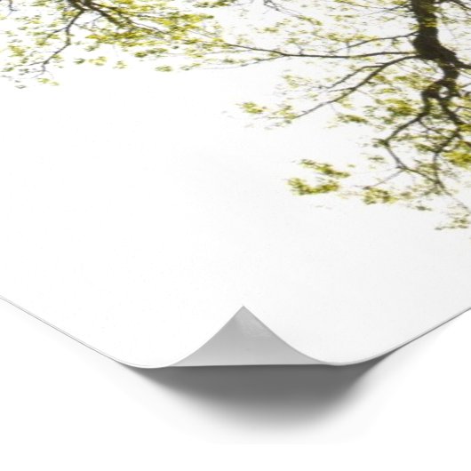 Poster Arbre éclairé (Coin)