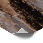 Poster Arbre écorce I Abstrait naturel texturé (Coin)