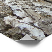 Poster Arbre écorce IV Nature Abstraite (Coin)