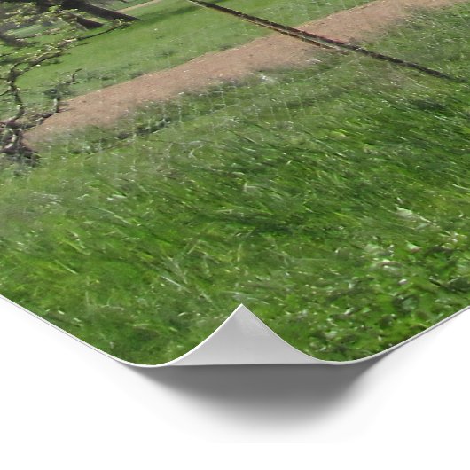 Poster Arbre en fleurs blanches (Coin)