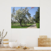Poster Arbre en fleurs blanches (Cuisine)