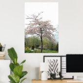 Poster arbre en fleurs de cerisier sous la pluie (Bureau à domicile)
