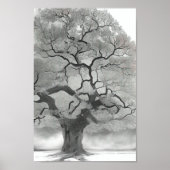 Poster Arbre en nuances de gris (Devant)