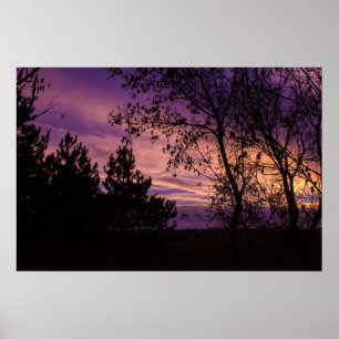 Poster Arbre en Silhouette sous un Ciel Crépusculaire Vio