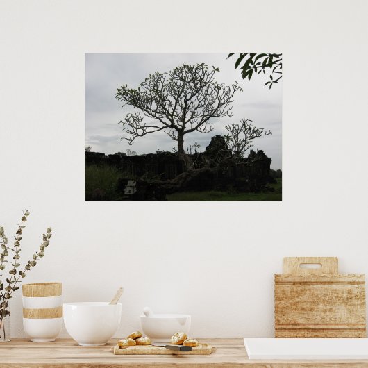 Poster Arbre en Thaïlande (Cuisine)