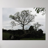 Poster Arbre en Thaïlande (Devant)