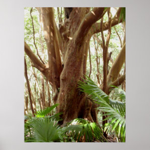 Poster Arbre et paumes de goyave fraise