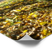 Poster Arbre et pont à Central Park (Coin)